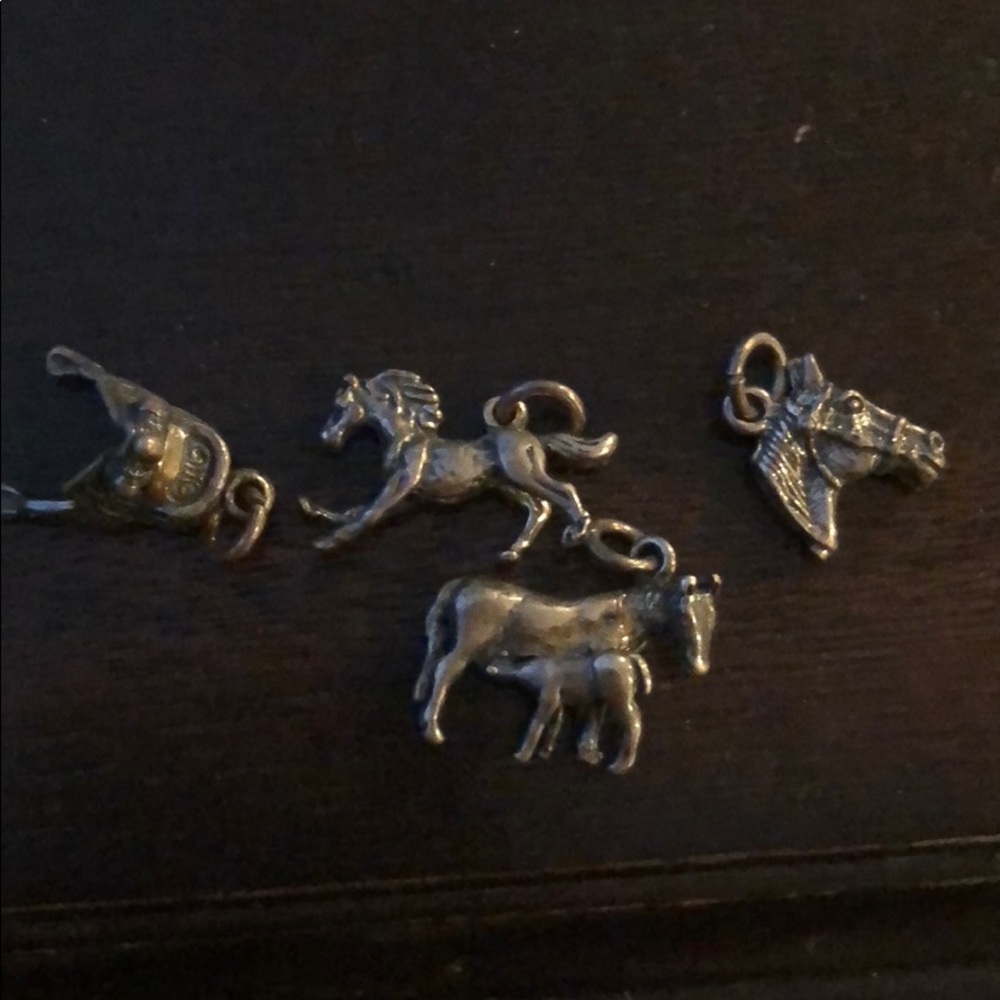 Stirling silver charms